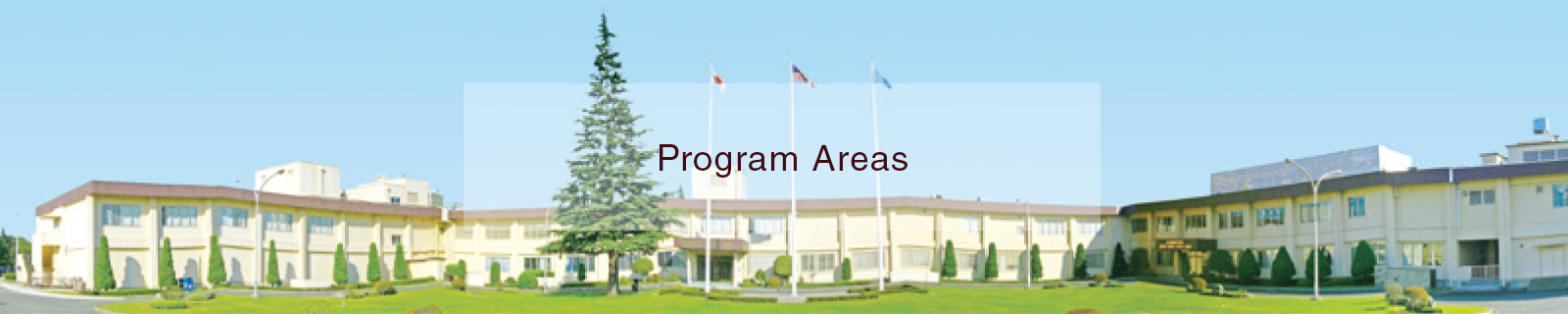 Program Areas